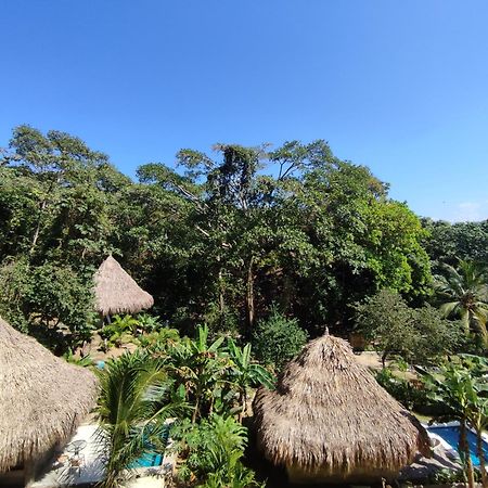 Bed and Breakfast Colibri Parque Tayrona Dentro Del Parque Nacional Tayrona Эль-Саино Экстерьер фото
