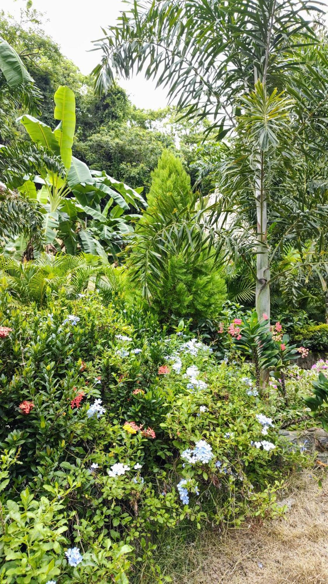 Bed and Breakfast Colibri Parque Tayrona Dentro Del Parque Nacional Tayrona Эль-Саино Экстерьер фото