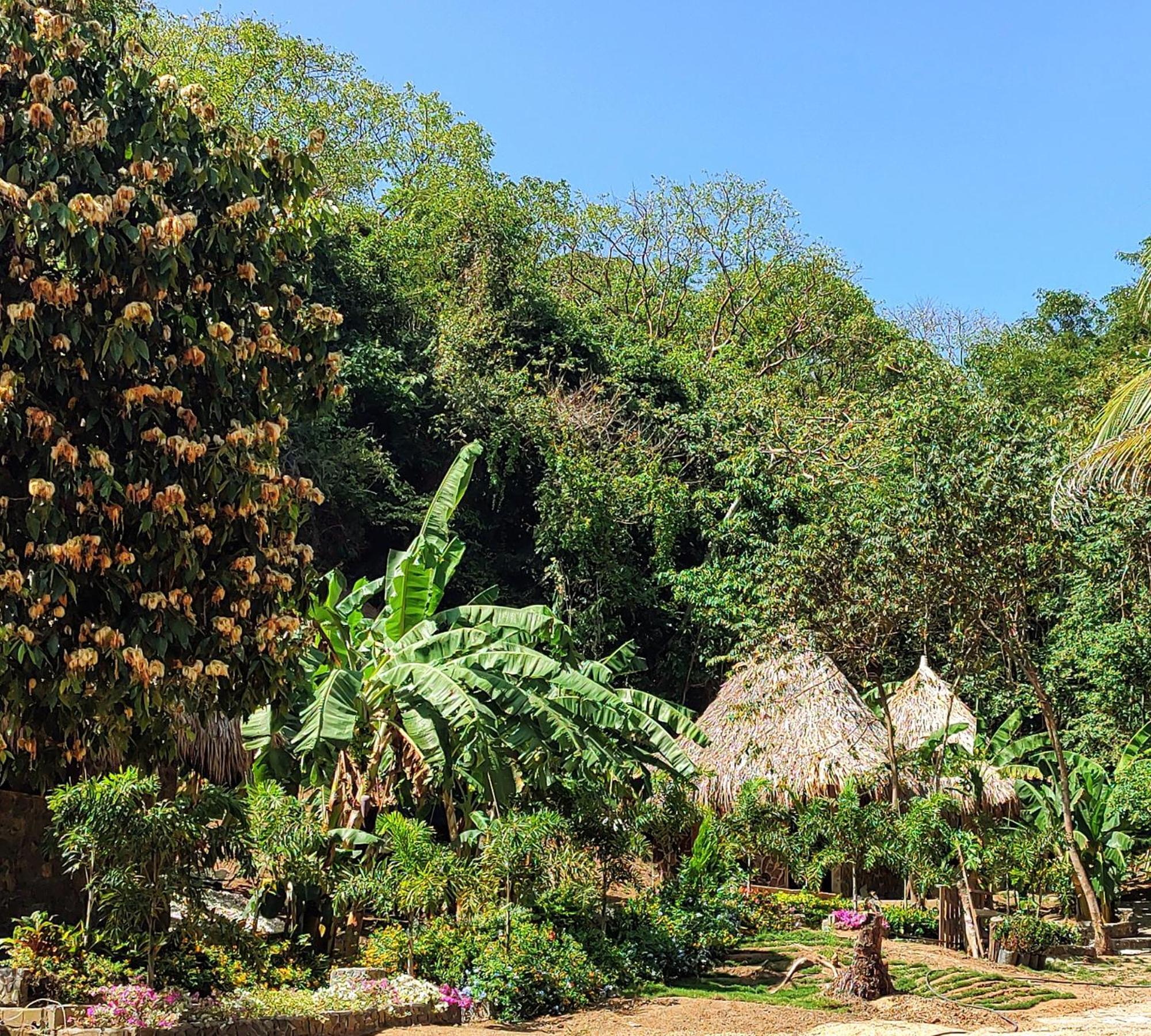 Bed and Breakfast Colibri Parque Tayrona Dentro Del Parque Nacional Tayrona Эль-Саино Экстерьер фото