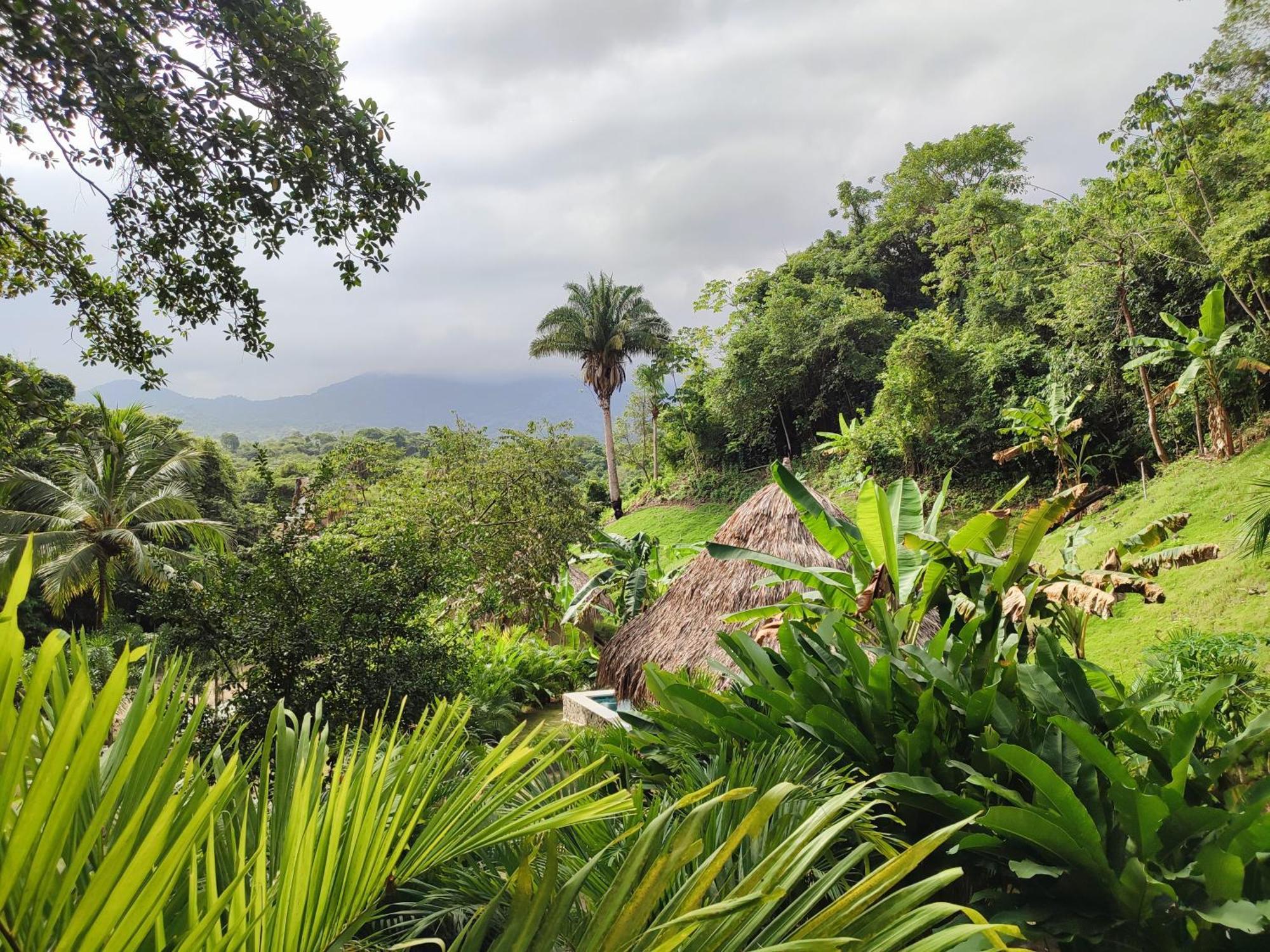 Bed and Breakfast Colibri Parque Tayrona Dentro Del Parque Nacional Tayrona Эль-Саино Экстерьер фото
