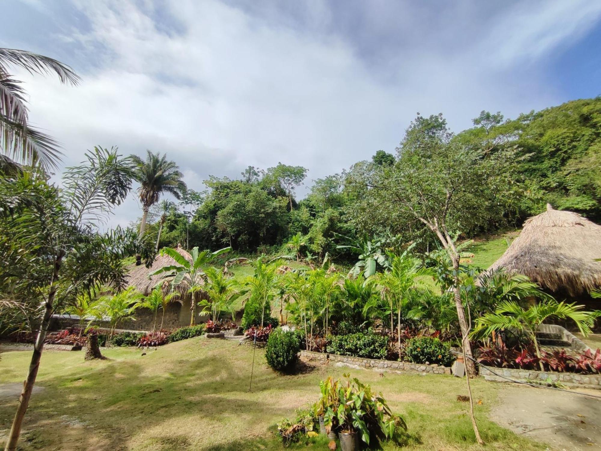 Bed and Breakfast Colibri Parque Tayrona Dentro Del Parque Nacional Tayrona Эль-Саино Экстерьер фото