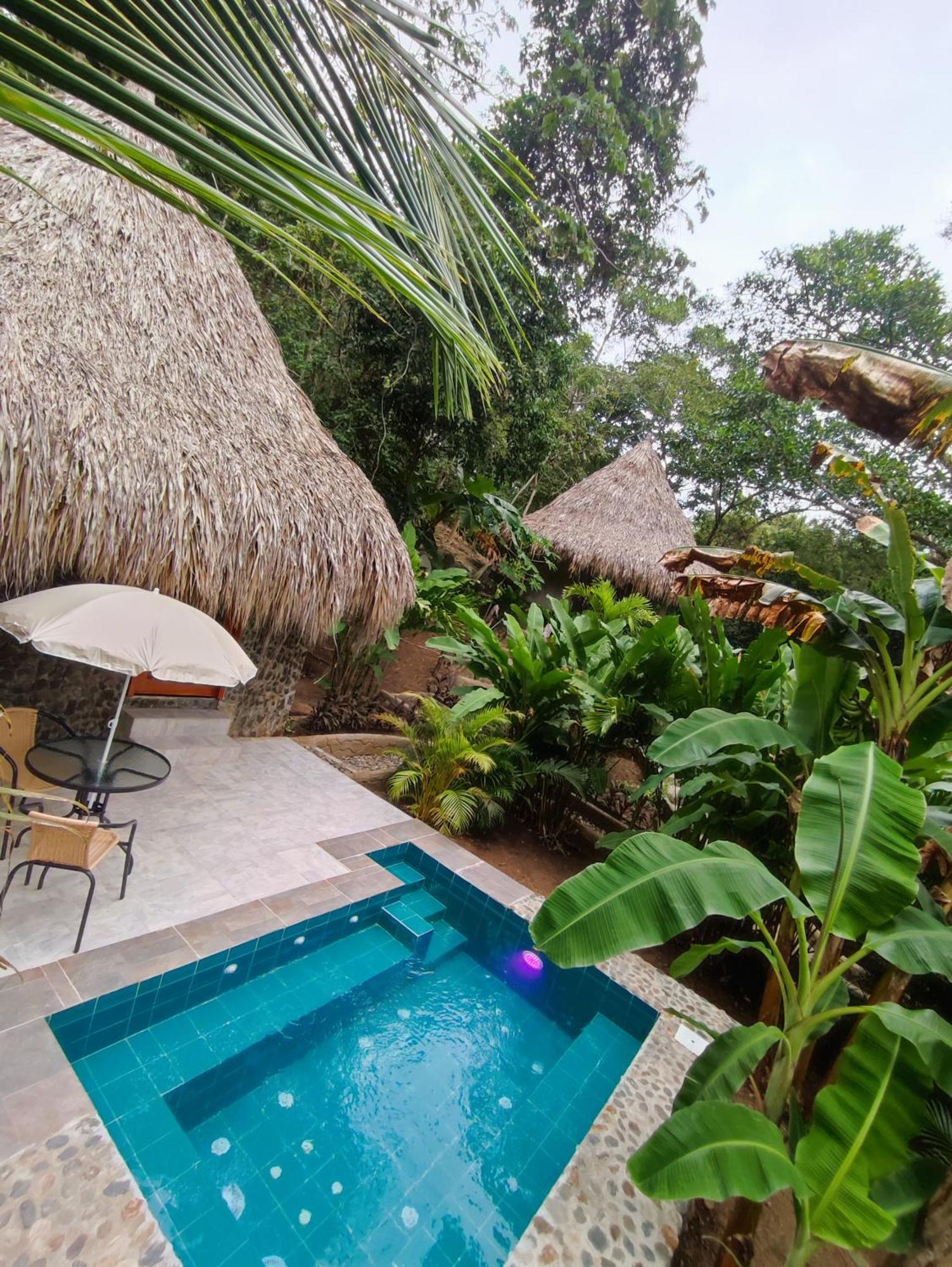 Bed and Breakfast Colibri Parque Tayrona Dentro Del Parque Nacional Tayrona Эль-Саино Экстерьер фото