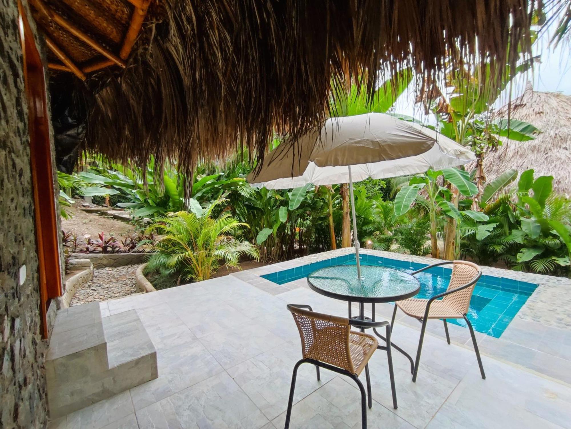 Bed and Breakfast Colibri Parque Tayrona Dentro Del Parque Nacional Tayrona Эль-Саино Экстерьер фото