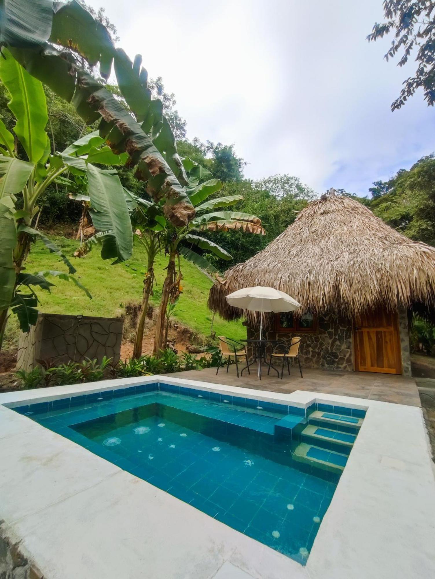 Bed and Breakfast Colibri Parque Tayrona Dentro Del Parque Nacional Tayrona Эль-Саино Экстерьер фото