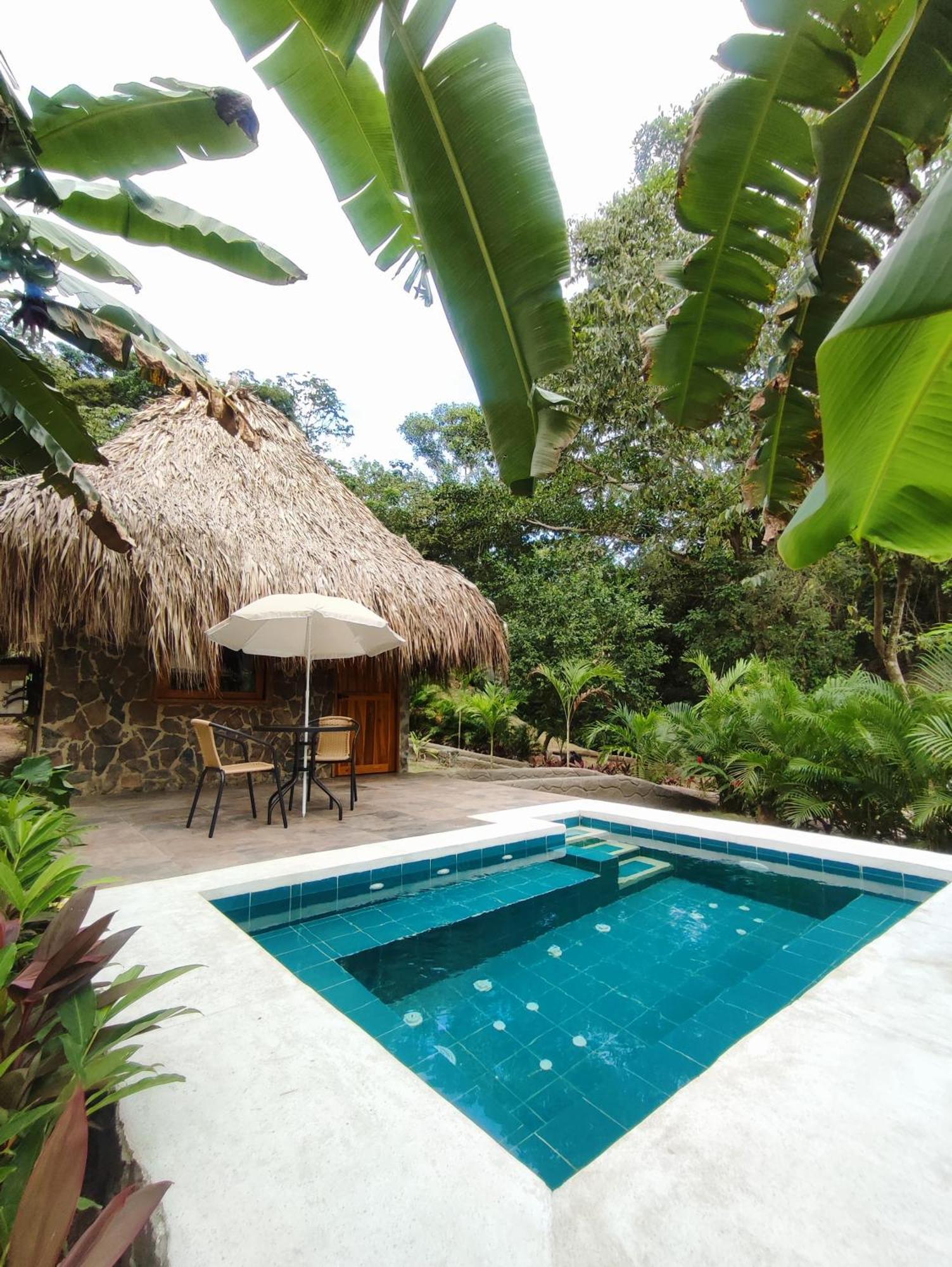 Bed and Breakfast Colibri Parque Tayrona Dentro Del Parque Nacional Tayrona Эль-Саино Экстерьер фото