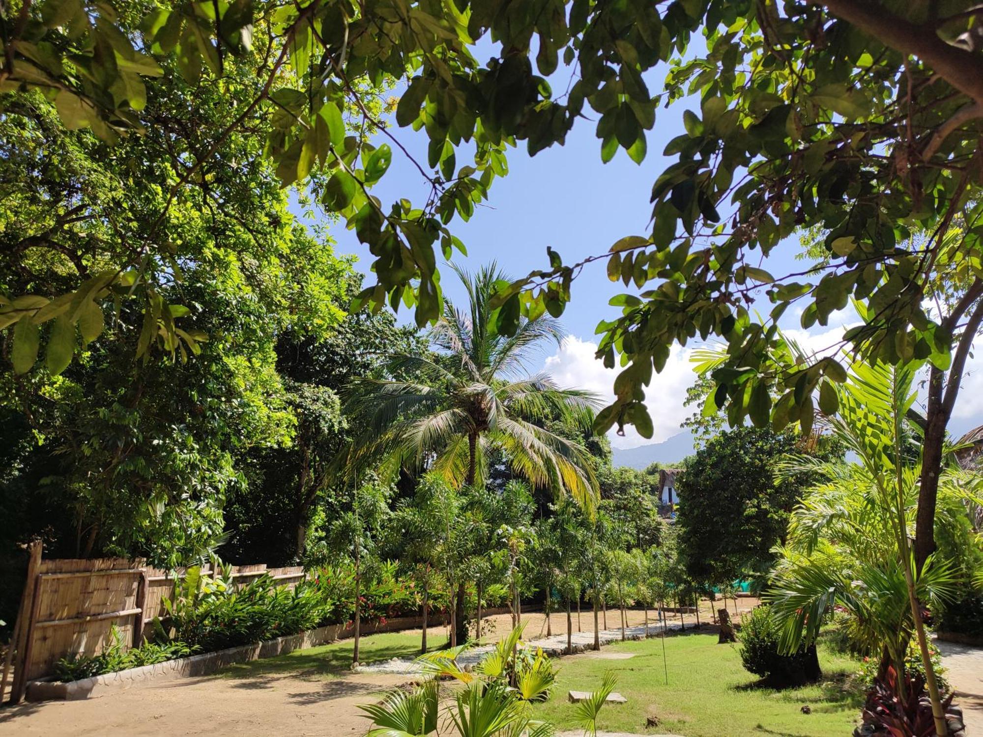Bed and Breakfast Colibri Parque Tayrona Dentro Del Parque Nacional Tayrona Эль-Саино Экстерьер фото